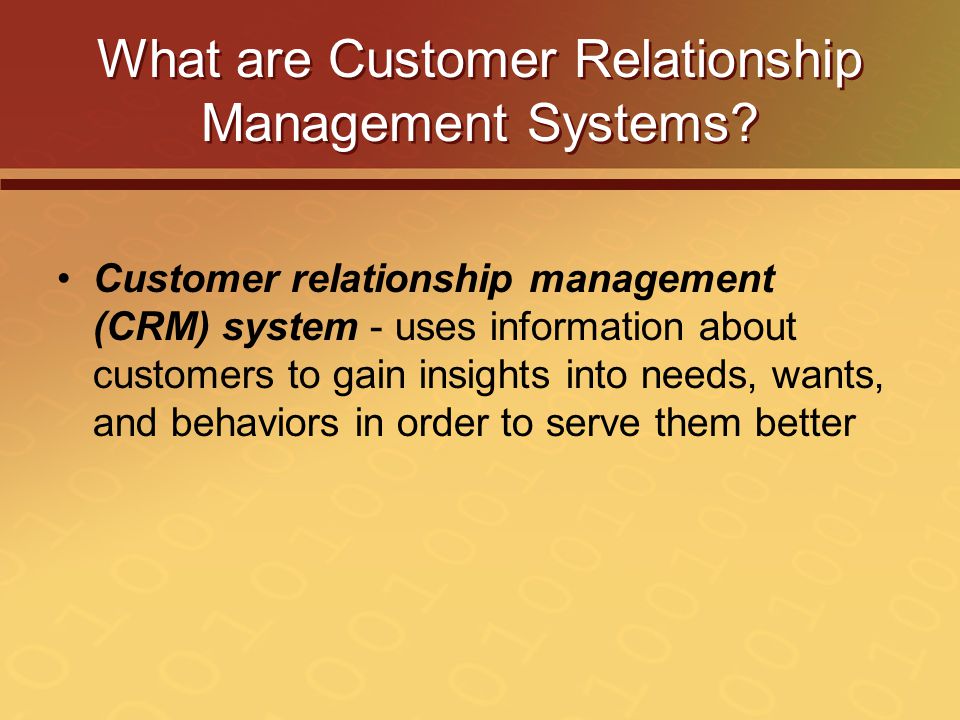What are Customer Relationship Management Systems.