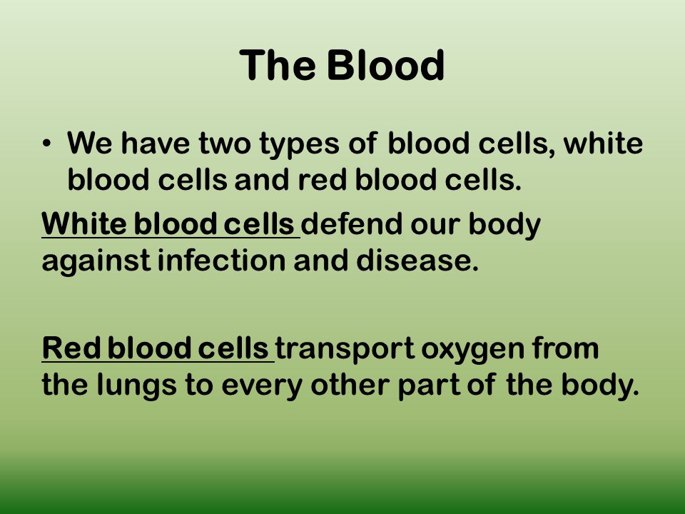 The Blood We have two types of blood cells, white blood cells and red blood cells.