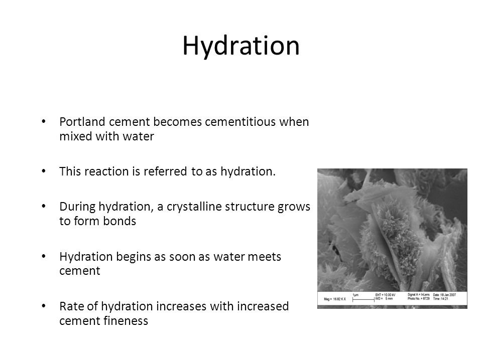 Hydration Portland cement becomes cementitious when mixed with water This reaction is referred to as hydration.