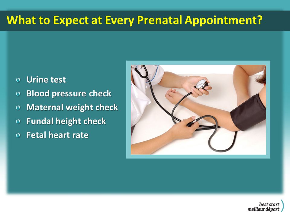What to Expect at Every Prenatal Appointment.