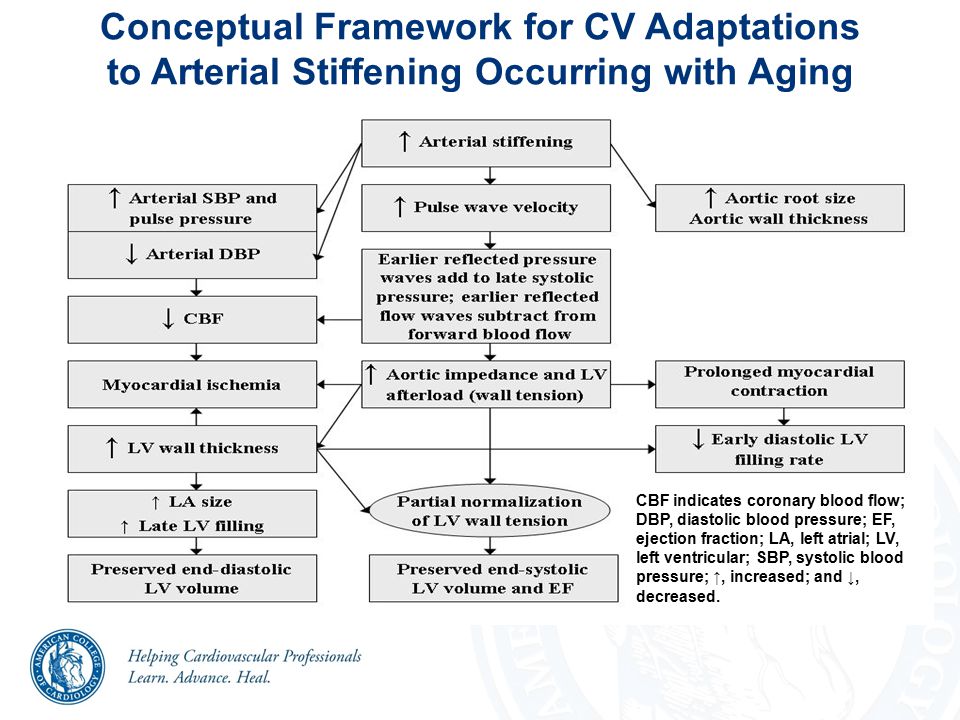 Conceptual Framework for CV Adaptations to Arterial Stiffening Occurring with Aging CBF indicates coronary blood flow; DBP, diastolic blood pressure; EF, ejection fraction; LA, left atrial; LV, left ventricular; SBP, systolic blood pressure; ↑, increased; and ↓, decreased.