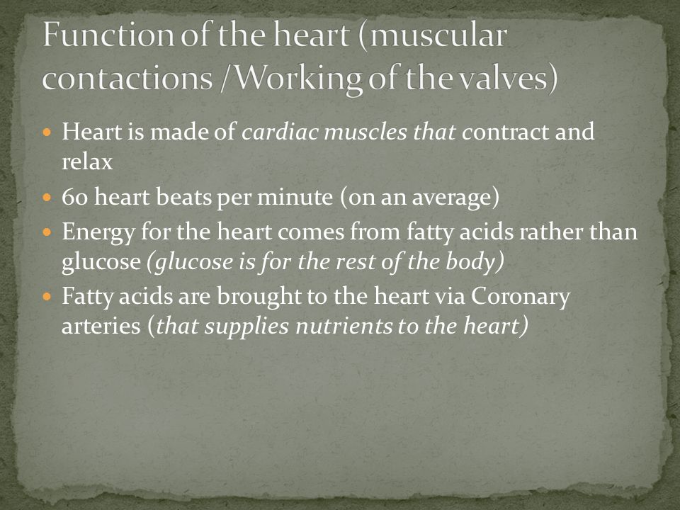 Heart is made of cardiac muscles that contract and relax 60 heart beats per minute (on an average) Energy for the heart comes from fatty acids rather than glucose (glucose is for the rest of the body) Fatty acids are brought to the heart via Coronary arteries (that supplies nutrients to the heart)