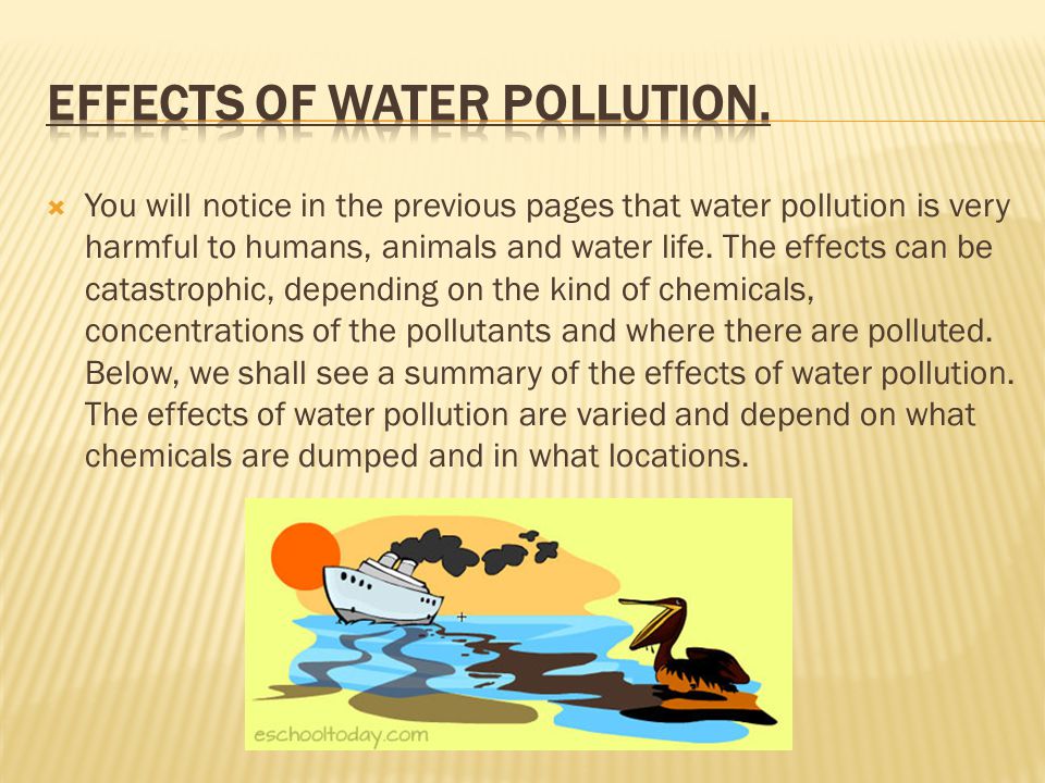  You will notice in the previous pages that water pollution is very harmful to humans, animals and water life.