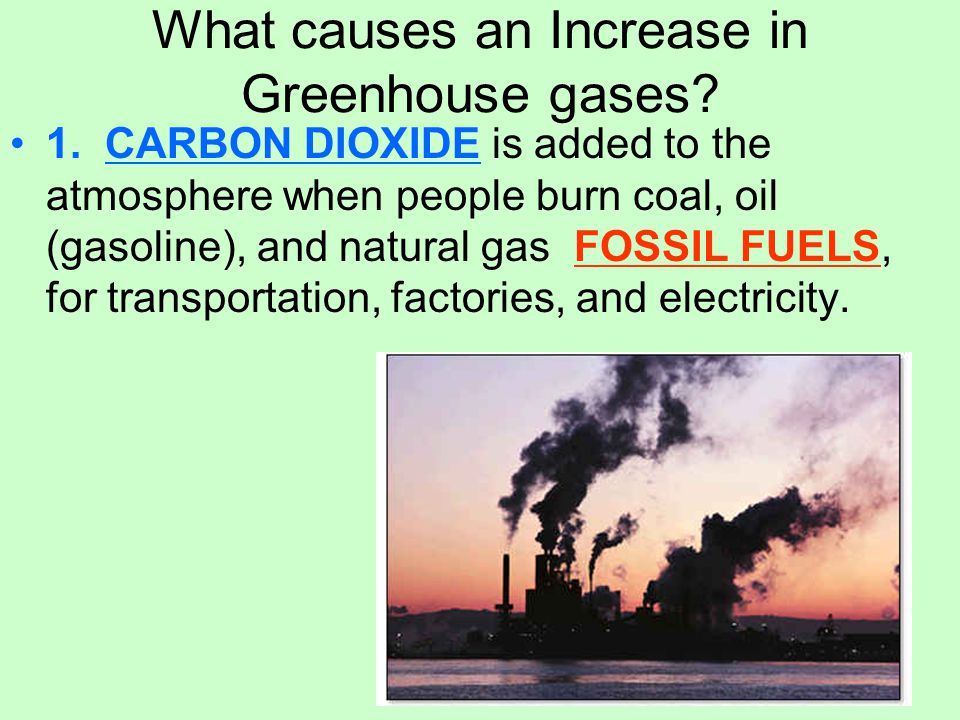 What causes an Increase in Greenhouse gases. 1.