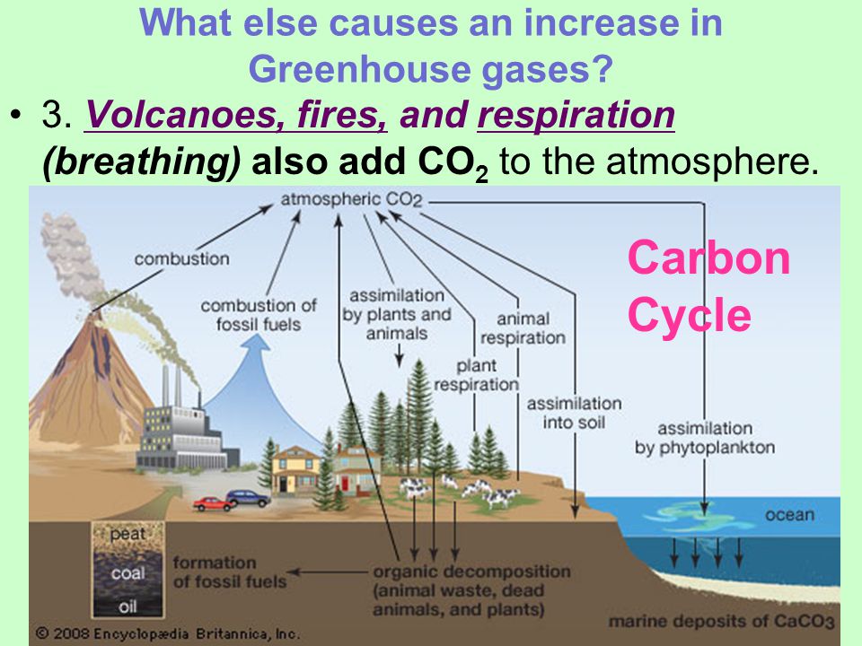 What else causes an increase in Greenhouse gases. 3.