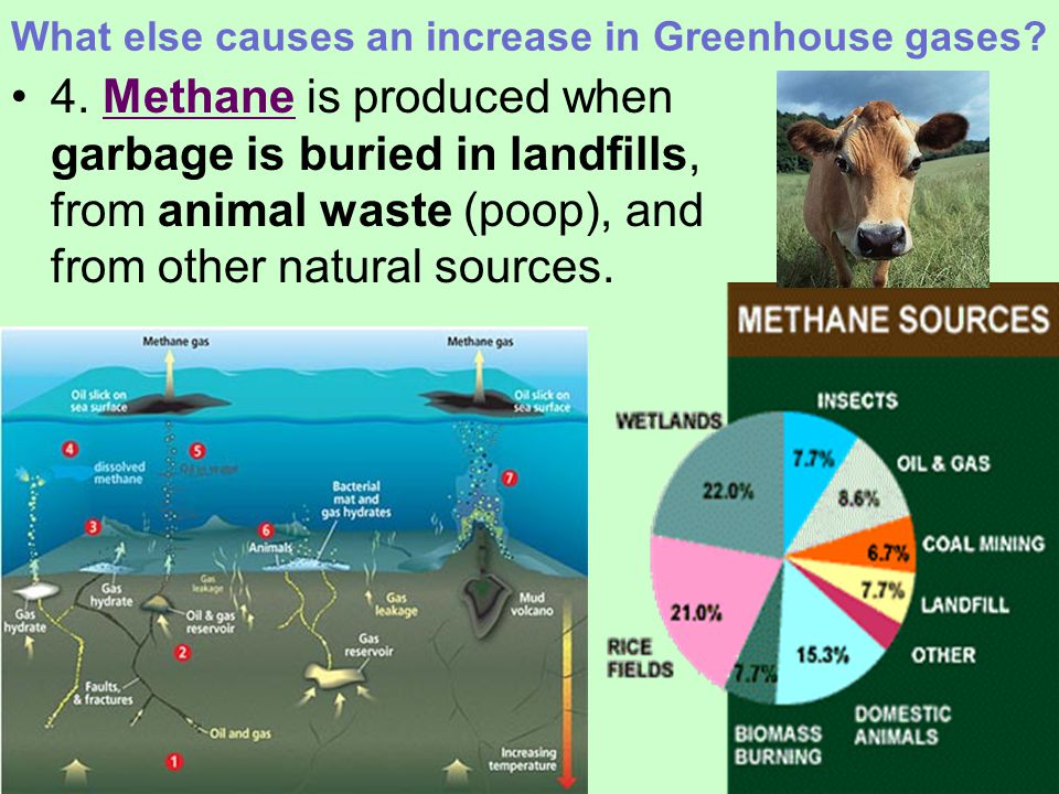 What else causes an increase in Greenhouse gases. 4.