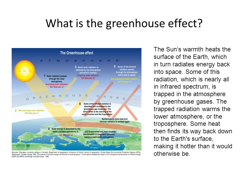 What is the greenhouse effect.