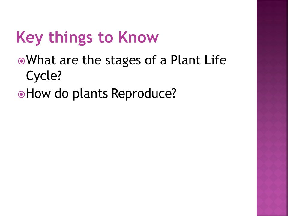  What are the stages of a Plant Life Cycle  How do plants Reproduce