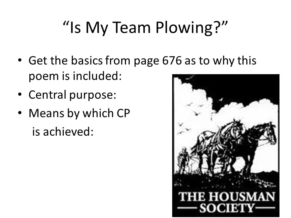 is my team plowing poem analysis