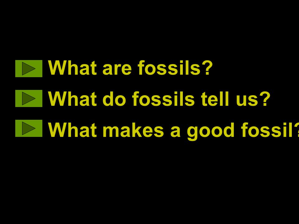 What are fossils What do fossils tell us What makes a good fossil