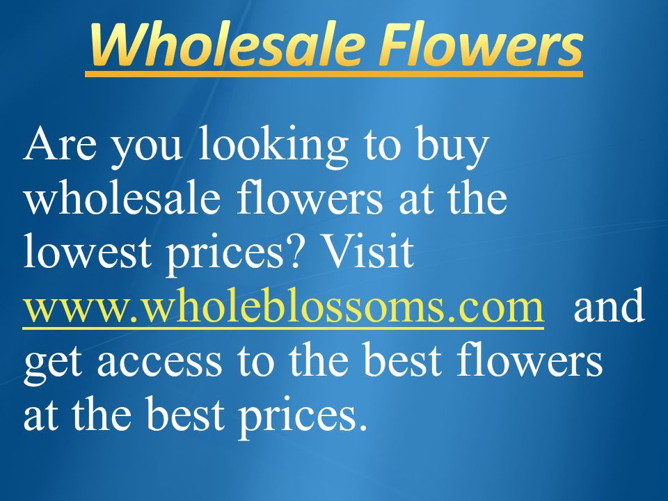 Are you looking to buy wholesale flowers at the lowest prices.