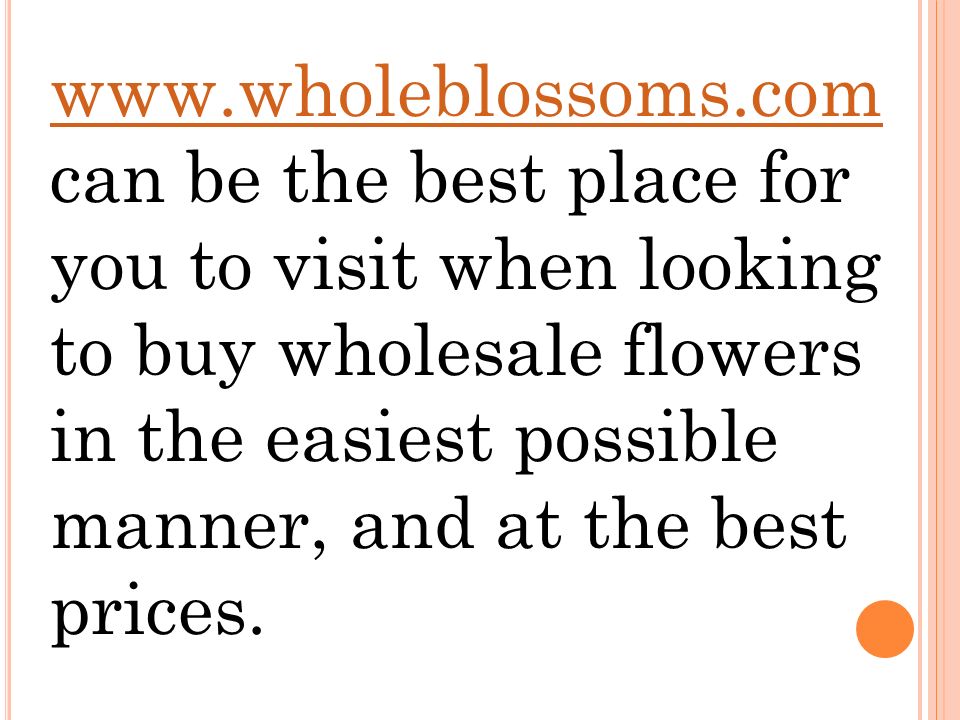 can be the best place for you to visit when looking to buy wholesale flowers in the easiest possible manner, and at the best prices.