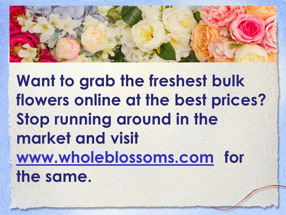 Want to grab the freshest bulk flowers online at the best prices.