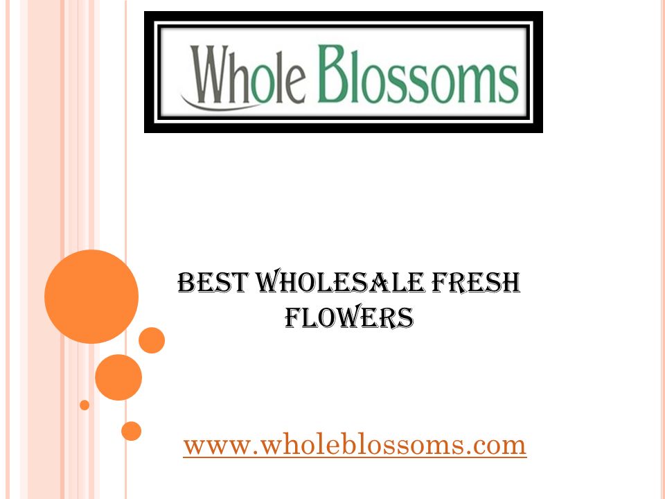 Best Wholesale Fresh Flowers