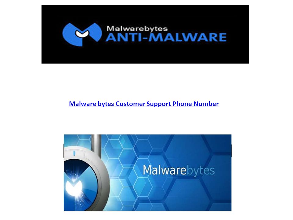 Malware bytes Customer Support Phone Number