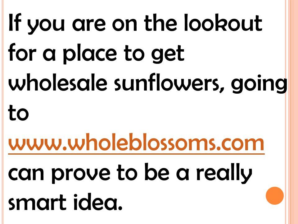 If you are on the lookout for a place to get wholesale sunflowers, going to   can prove to be a really smart idea.