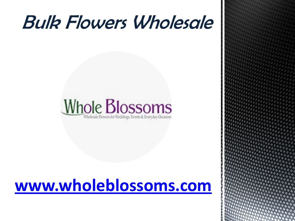 Bulk Flowers Wholesale