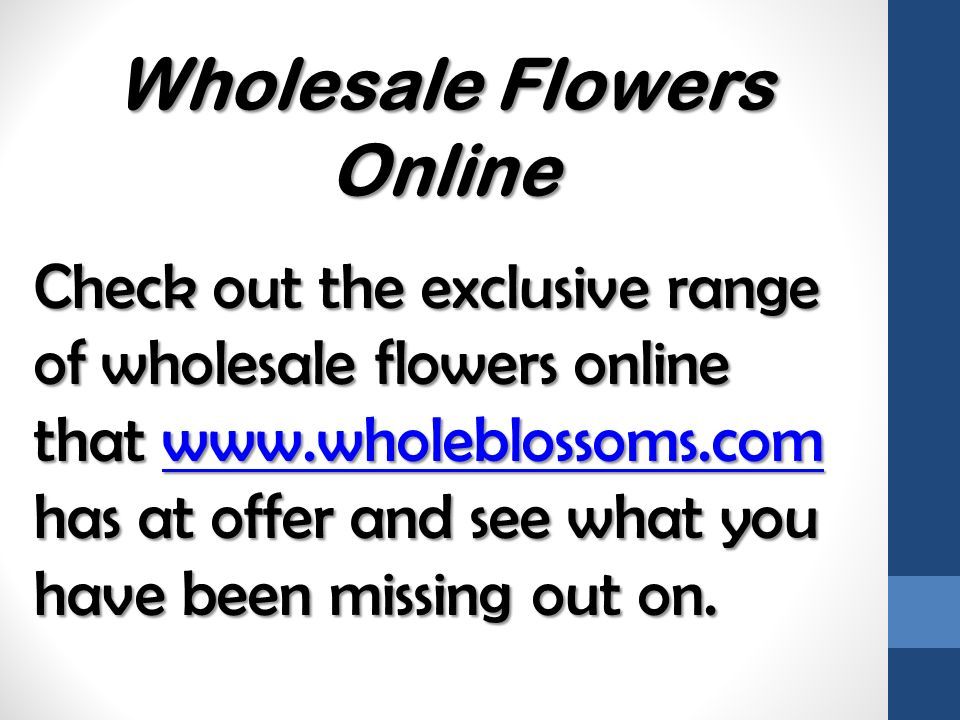Check out the exclusive range of wholesale flowers online that   has at offer and see what you have been missing out on.
