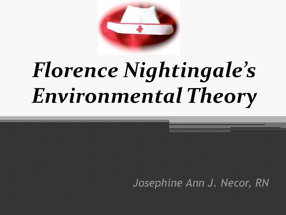 florence nightingale environmental model