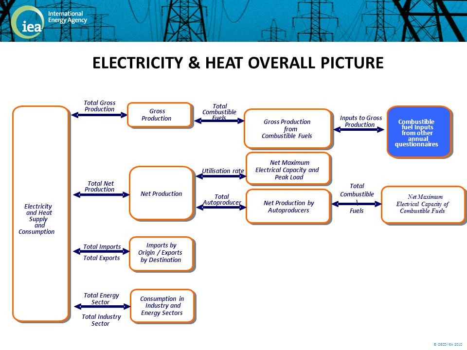 © OECD/IEA 2010 ELECTRICITY & HEAT OVERALL PICTURE Table 3 Electricity and Heat Supply and Consumption Electricity and Heat Supply and Consumption Combustible fuel Inputs from other annual questionnaires Combustible fuel Inputs from other annual questionnaires Table 7b Net Maximum Electrical Capacity of Combustible Fuels Net Maximum Electrical Capacity of Combustible Fuels Table 8 Imports by Origin / Exports by Destination Imports by Origin / Exports by Destination Total Imports Total Exports Table 2 Net Production Table 5 Net Production by Autoproducers Net Production by Autoproducers Table 7a Net Maximum Electrical Capacity and Peak Load Net Maximum Electrical Capacity and Peak Load Utilisation rate Total Autoproducer Total Net Production Total Industry Table 4 Consumption in Industry and Energy Sectors Consumption in Industry and Energy Sectors Total Energy Sector Total Gross Table 1 Gross Production Gross Production Table 6 Gross Production from Combustible Fuels Gross Production from Combustible Fuels Inputs to Gross Production Total Combustible Fuels Total Combustible \ Fuels