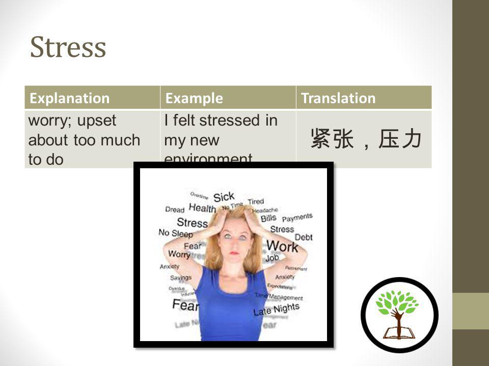Stress ExplanationExampleTranslation worry; upset about too much to do I felt stressed in my new environment.