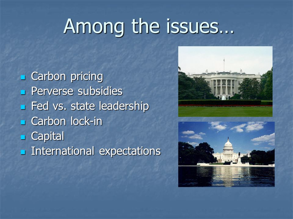 Among the issues… Carbon pricing Carbon pricing Perverse subsidies Perverse subsidies Fed vs.