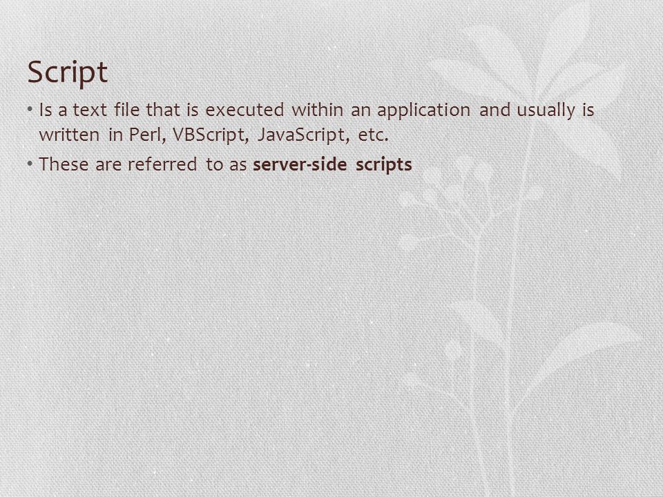 Script Is a text file that is executed within an application and usually is written in Perl, VBScript, JavaScript, etc.