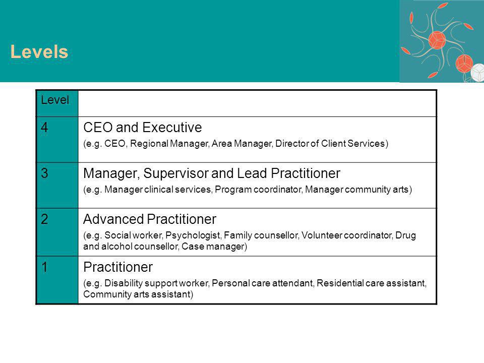 Levels Level 4CEO and Executive (e.g.