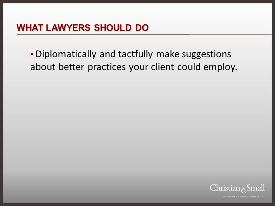 WHAT LAWYERS SHOULD DO Diplomatically and tactfully make suggestions about better practices your client could employ.