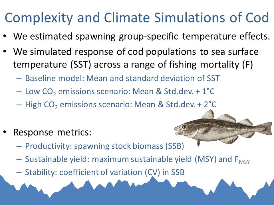 Complexity and Climate Simulations of Cod We estimated spawning group-specific temperature effects.