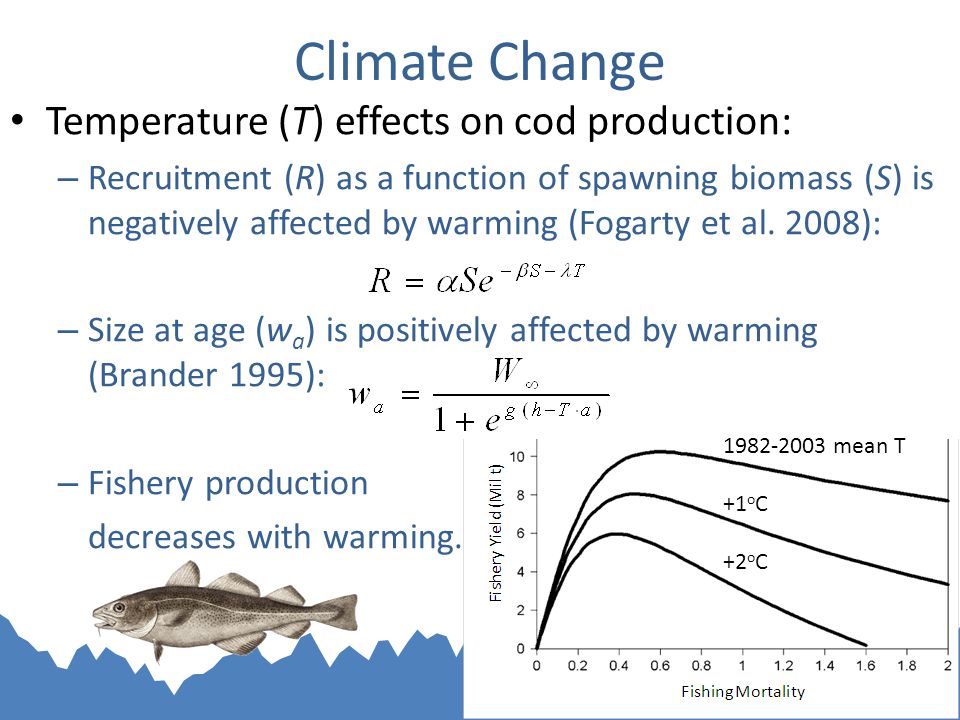 Climate Change Temperature (T) effects on cod production: – Recruitment (R) as a function of spawning biomass (S) is negatively affected by warming (Fogarty et al.