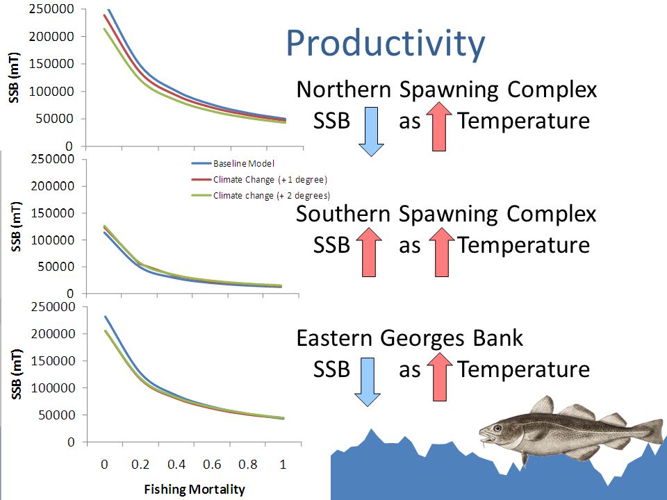Productivity Northern Spawning Complex SSB as Temperature Southern Spawning Complex SSB as Temperature Eastern Georges Bank SSB as Temperature
