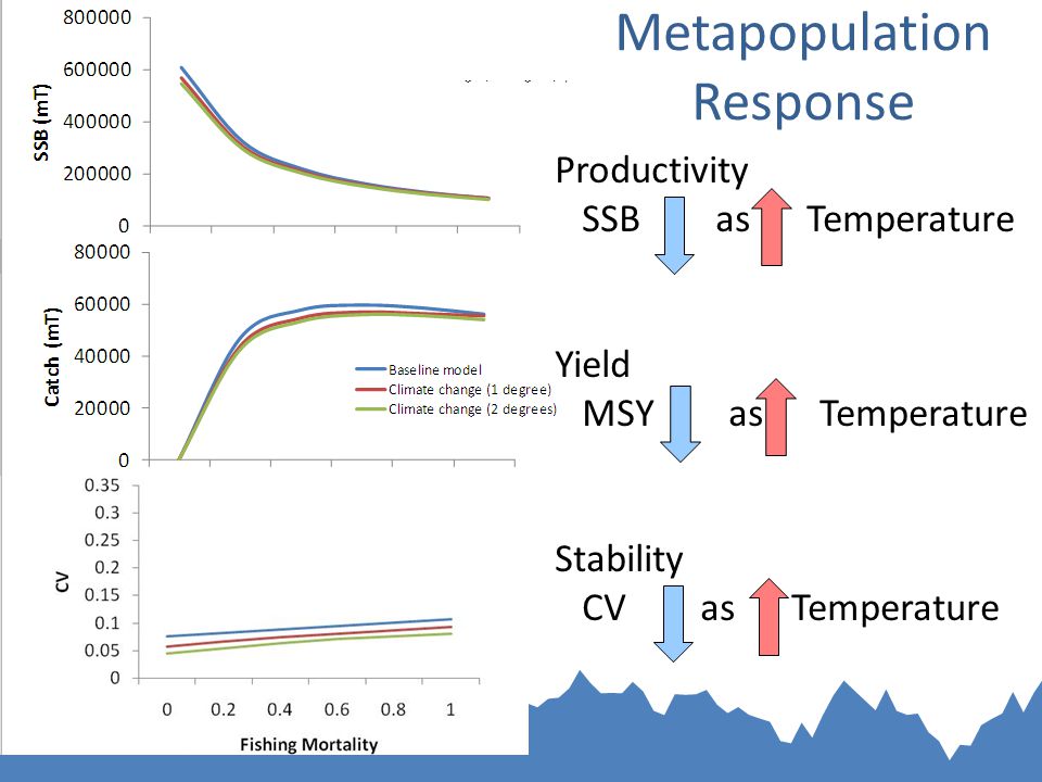 Metapopulation Response Productivity SSB as Temperature Yield MSY as Temperature Stability CV as Temperature