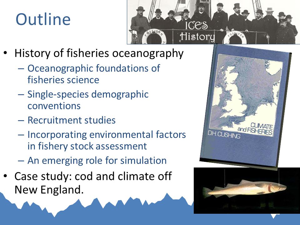 Outline History of fisheries oceanography – Oceanographic foundations of fisheries science – Single-species demographic conventions – Recruitment studies – Incorporating environmental factors in fishery stock assessment – An emerging role for simulation Case study: cod and climate off New England.