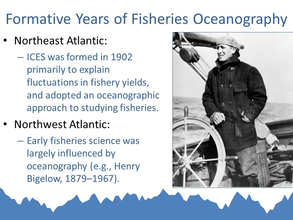 Formative Years of Fisheries Oceanography Northeast Atlantic: – ICES was formed in 1902 primarily to explain fluctuations in fishery yields, and adopted an oceanographic approach to studying fisheries.