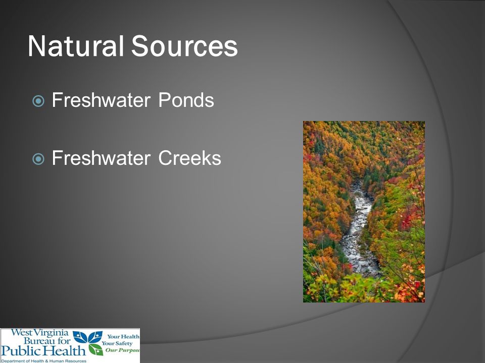 Natural Sources Freshwater Ponds Freshwater Creeks