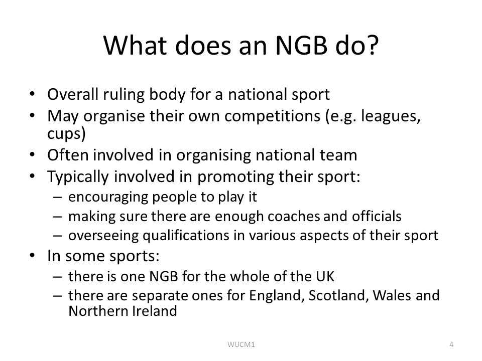 What does an NGB do.