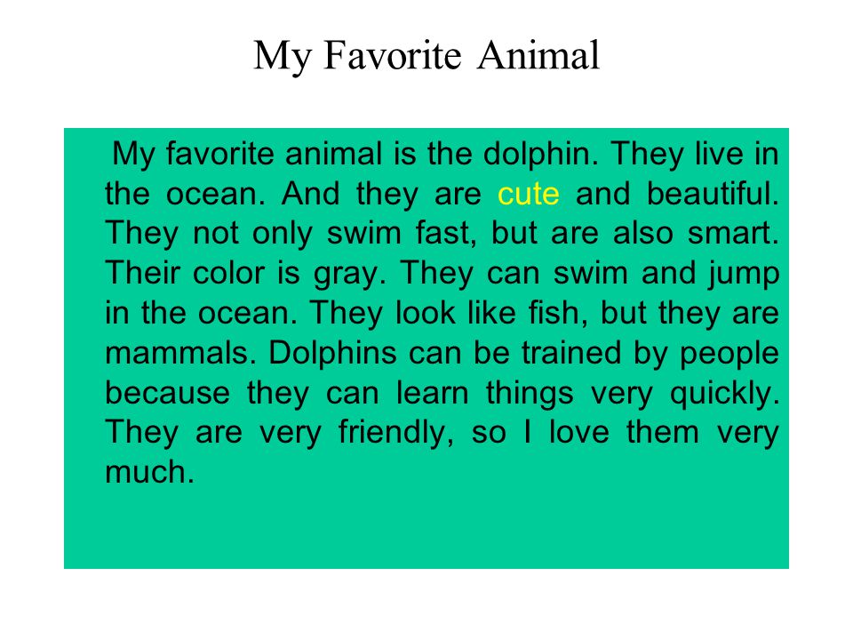 My favorite pet is dog essay