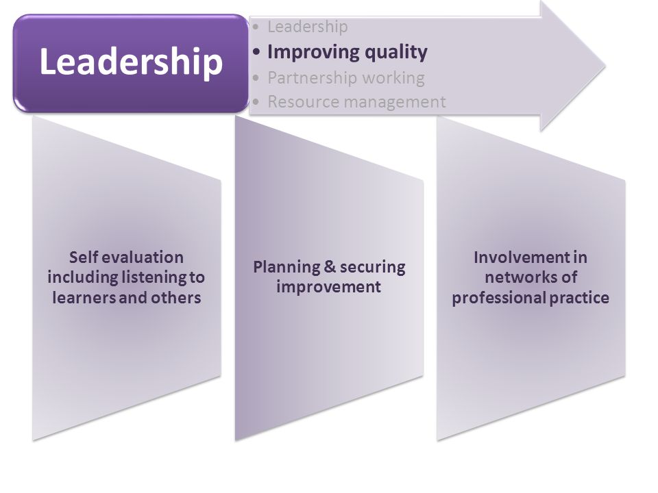 Self evaluation including listening to learners and others Planning & securing improvement Involvement in networks of professional practice Leadership Improving quality Partnership working Resource management