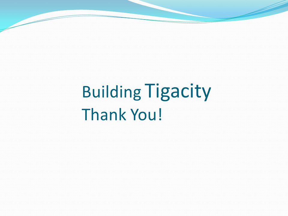 Building Tigacity Thank You!