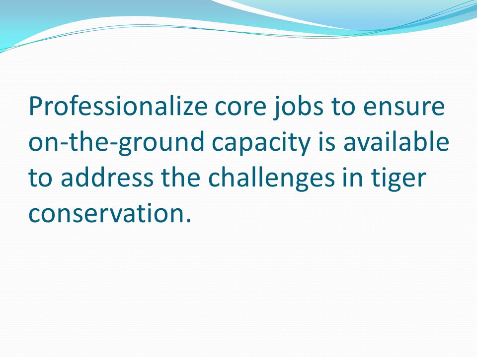 Professionalize core jobs to ensure on-the-ground capacity is available to address the challenges in tiger conservation.