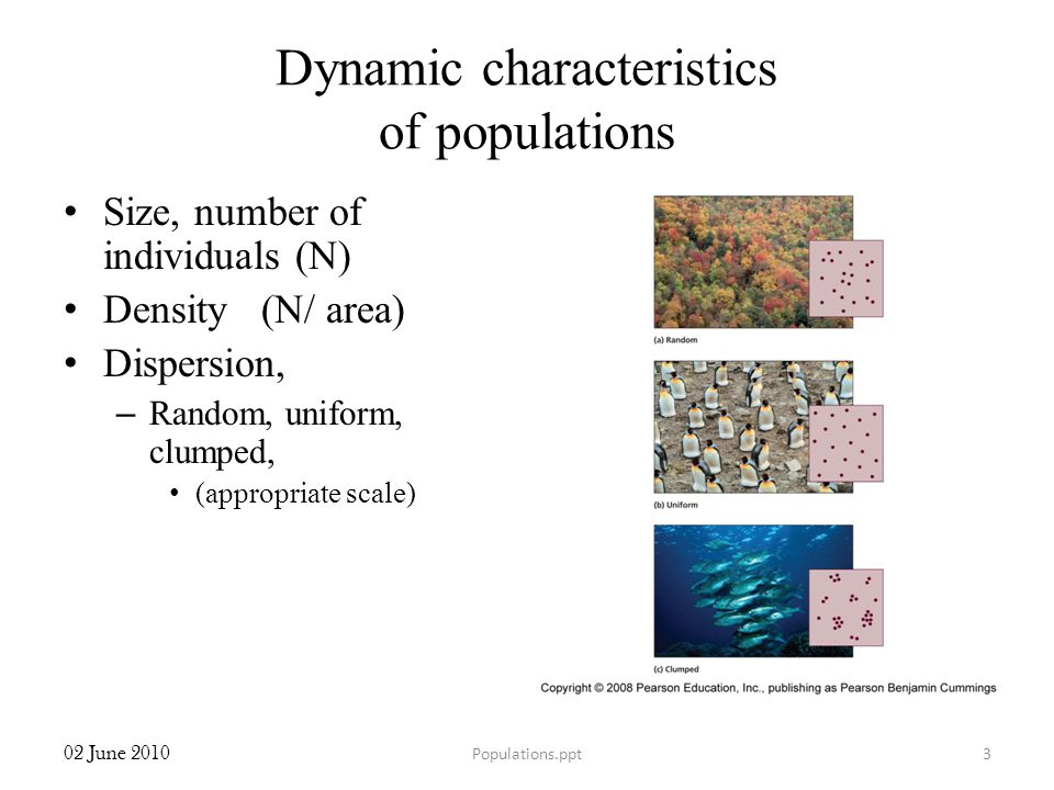 Dynamic characteristics of populations Size, number of individuals (N) Density (N/ area) Dispersion, – Random, uniform, clumped, (appropriate scale) 02 June Populations.ppt