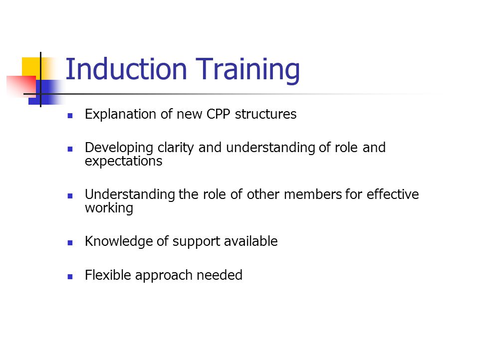 Induction Training Explanation of new CPP structures Developing clarity and understanding of role and expectations Understanding the role of other members for effective working Knowledge of support available Flexible approach needed