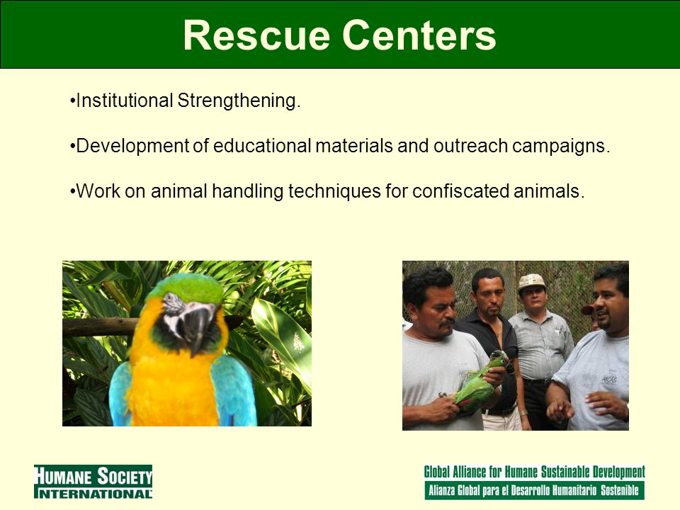 Rescue Centers Institutional Strengthening.
