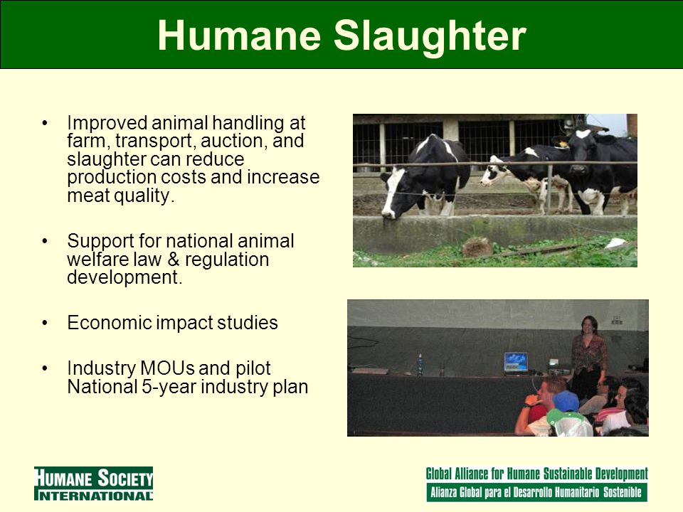 Humane Slaughter Improved animal handling at farm, transport, auction, and slaughter can reduce production costs and increase meat quality.