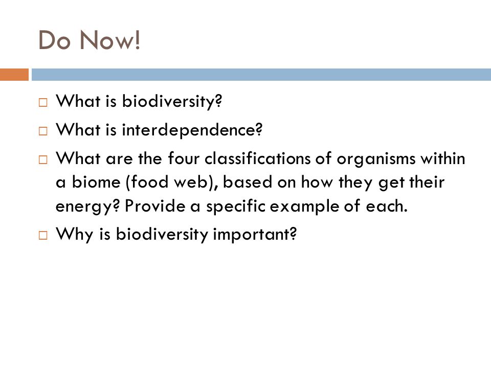 Do Now. What is biodiversity. What is interdependence.