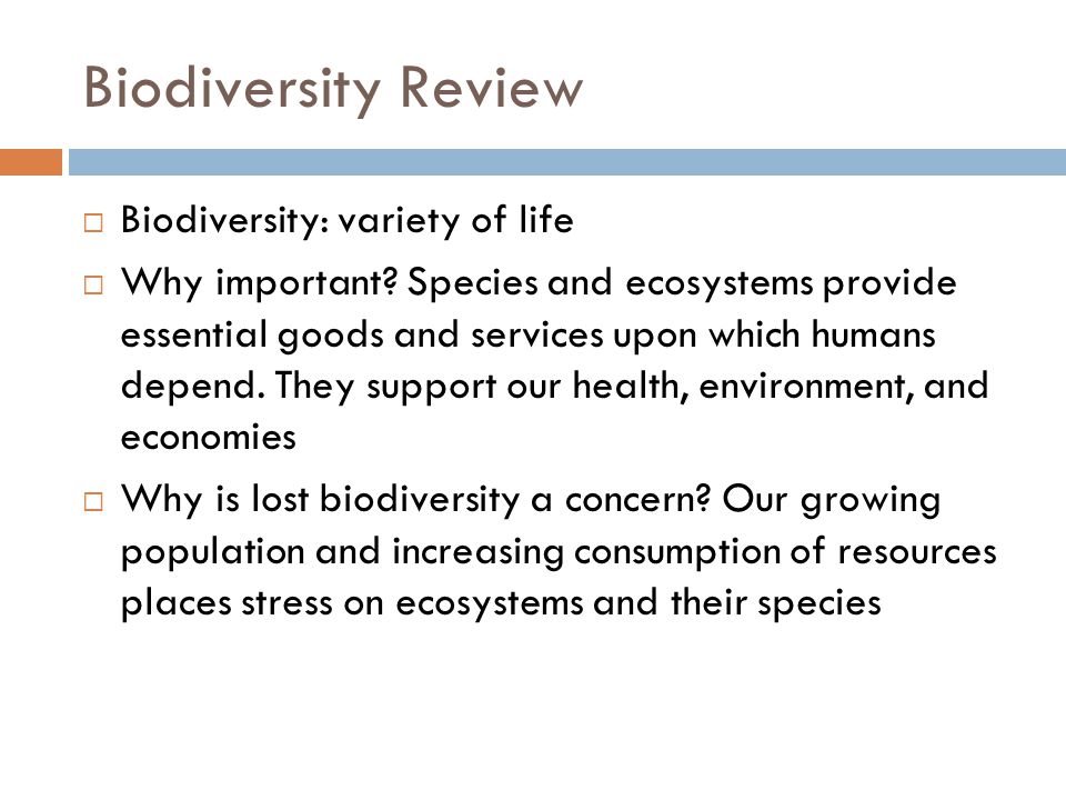 Biodiversity Review Biodiversity: variety of life Why important.