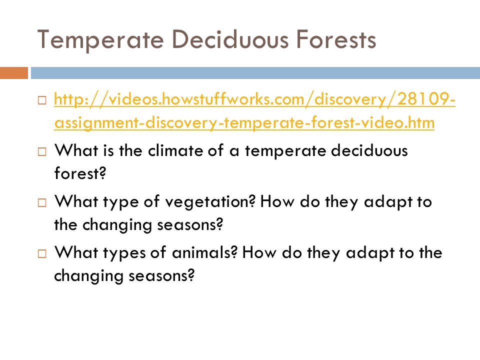 Temperate Deciduous Forests   assignment-discovery-temperate-forest-video.htm   assignment-discovery-temperate-forest-video.htm What is the climate of a temperate deciduous forest.