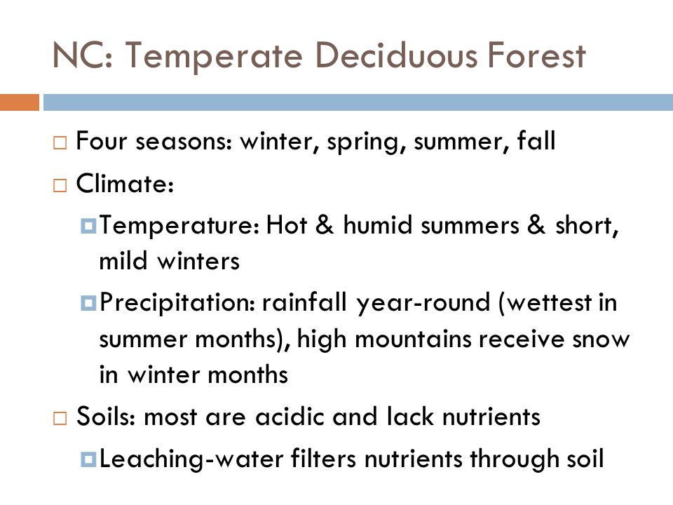 NC: Temperate Deciduous Forest Four seasons: winter, spring, summer, fall Climate: Temperature: Hot & humid summers & short, mild winters Precipitation: rainfall year-round (wettest in summer months), high mountains receive snow in winter months Soils: most are acidic and lack nutrients Leaching-water filters nutrients through soil