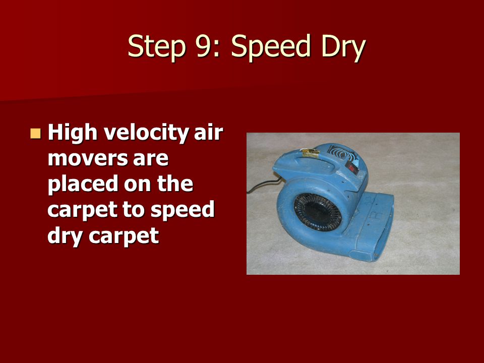 Step 9: Speed Dry Step 9: Speed Dry High velocity air movers are placed on the carpet to speed dry carpet High velocity air movers are placed on the carpet to speed dry carpet